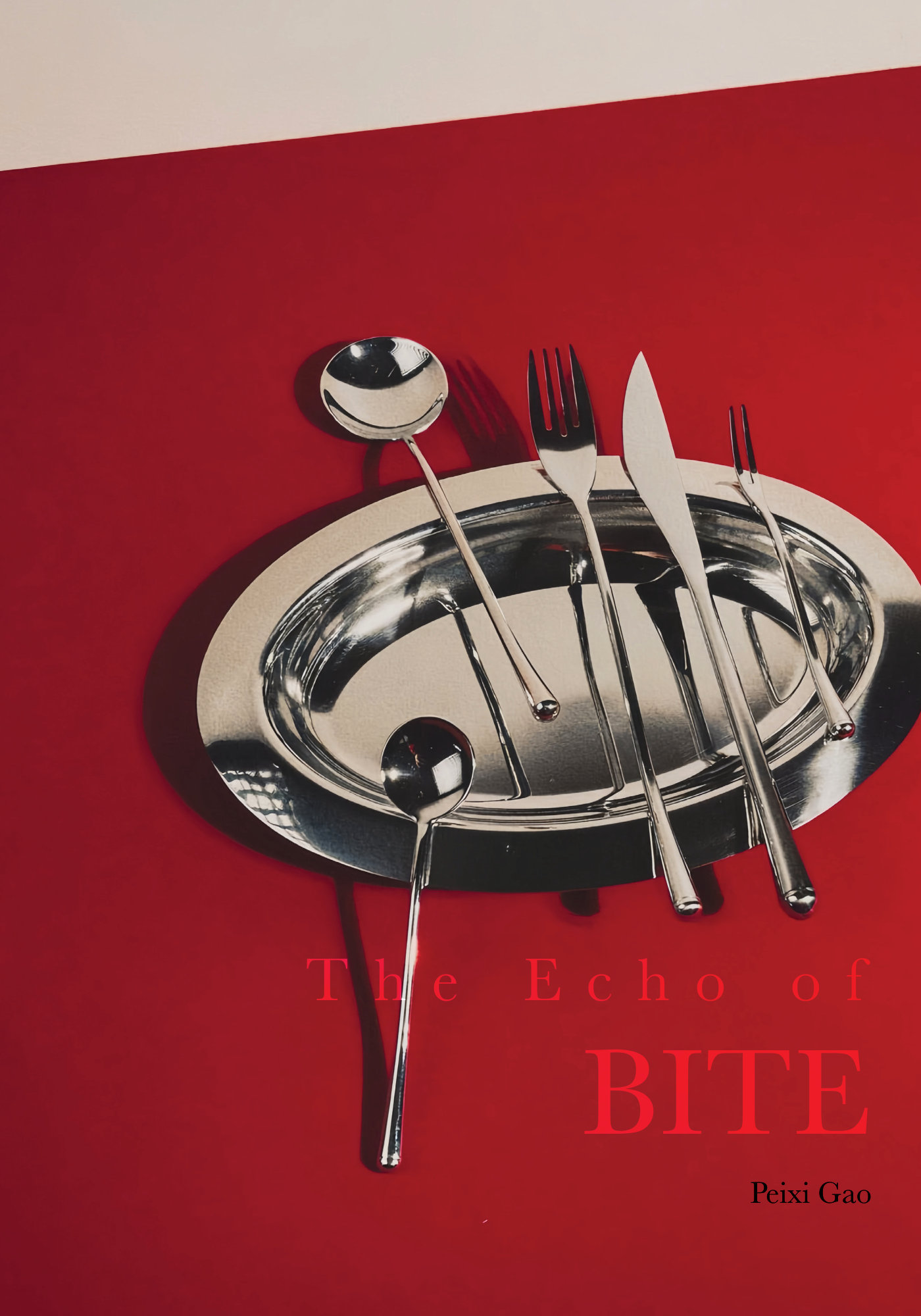 Echo of BITE Cover